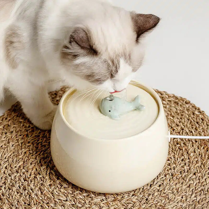 PawpawSip - Ceramic Pet Fountain